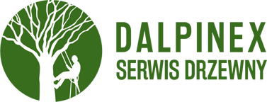 DalpineX Logo
